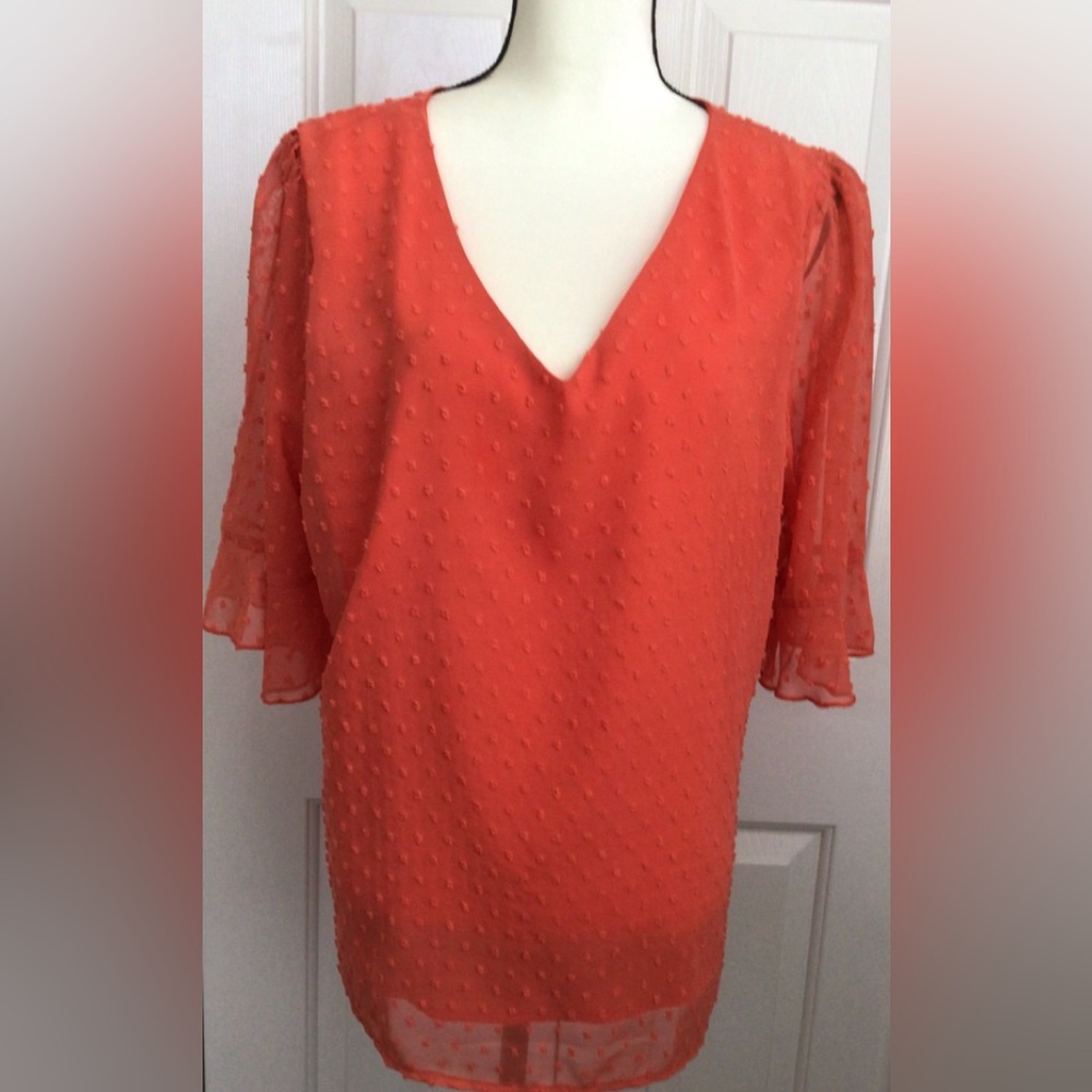 Ranlege beautiful lined blouse